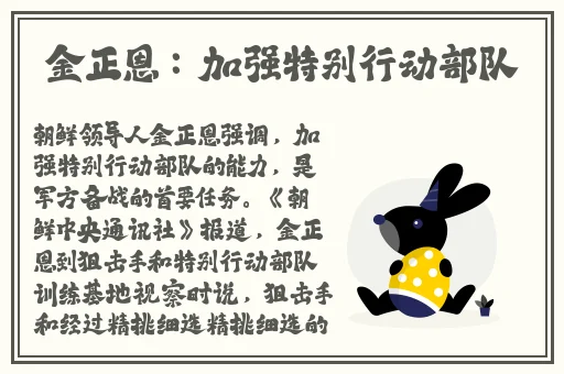 99国内精品久久久久久久